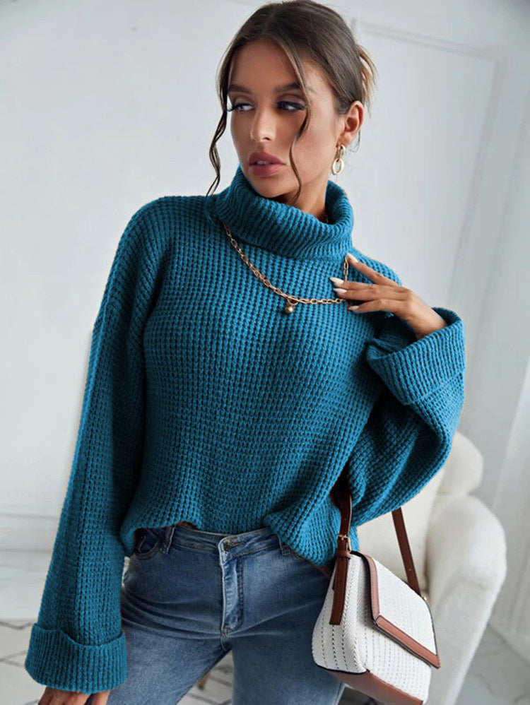 Turtle Neck Knitted Sweater