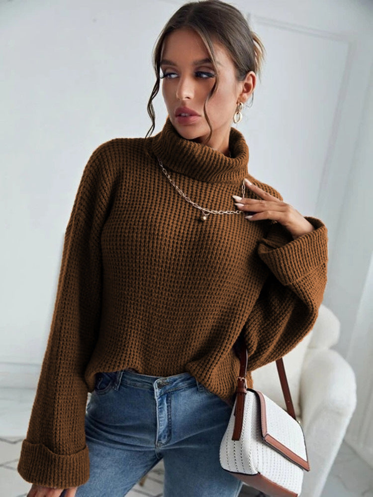 Turtle Neck Knitted Sweater