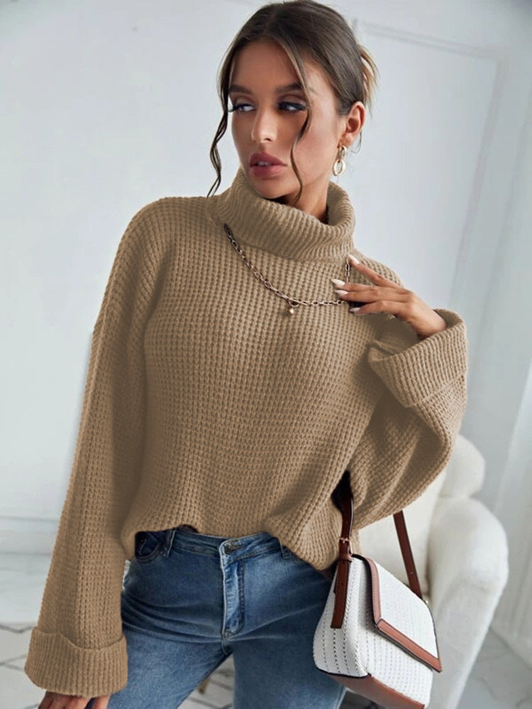 Turtle Neck Knitted Sweater