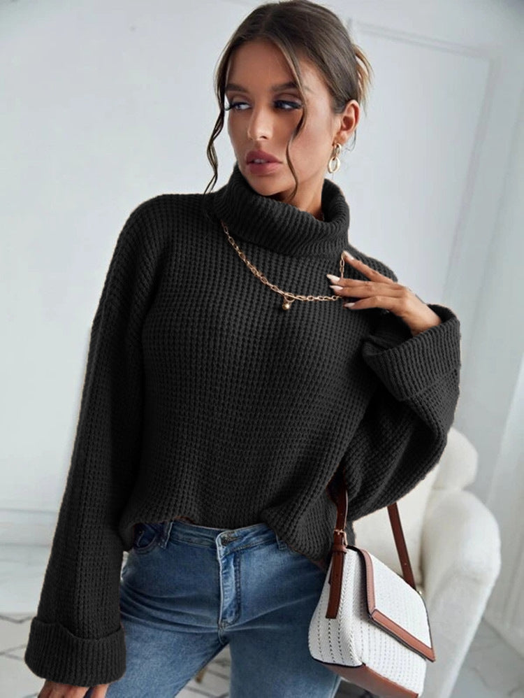 Turtle Neck Knitted Sweater